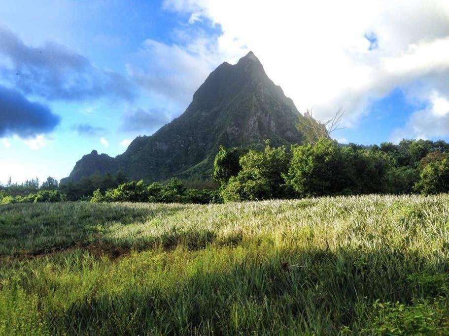 Fare Haurevaiti Moorea Paopao المظهر الخارجي الصورة
