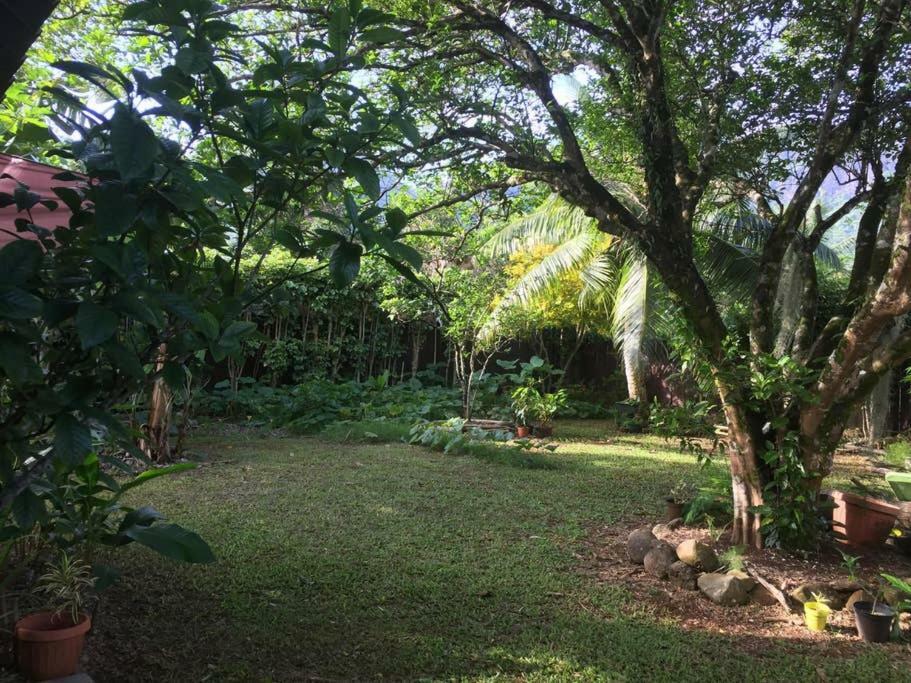 Fare Haurevaiti Moorea Paopao المظهر الخارجي الصورة
